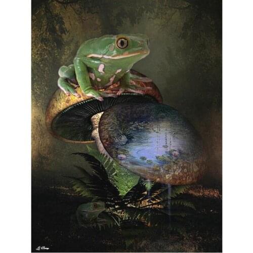 DIY Diamond Embroidery Animal frog Drill Diamond Painting Mushroom landscape Picture Of Home Decoration Birthday Present