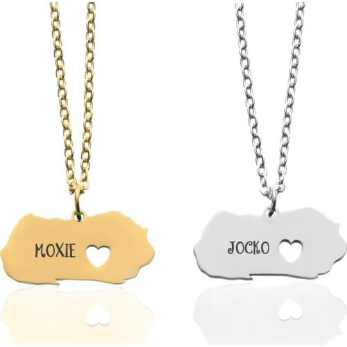 Guinea Pig Necklace Can Custom Made Name Necklace Stainless steel Jewelry for Men and Women Drop Shipping YP7559