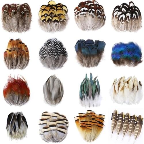 50Pcs Natural Peacock Pheasant Feathers for Crafts Jewelry Making Fly Tying Material Plumes Decoration Wholesale