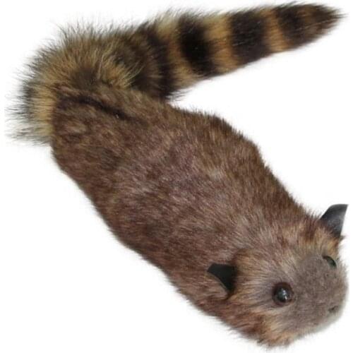 The Rocky Raccoon,Robbie Magic Raccoon Tricks,Props,Comedy,Mentalism,Gimmick,Spring Animal Toy Appearing Stage Magic,Funny Toys