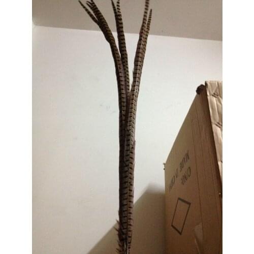 Free shipping wholesale high quality 50pcs Natural pheasant feather 90-100cm/36-40inch collected decorative accessories
