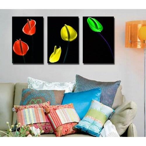 3 Piece Modern Canvas Paintings Red Yellow Green Flower Seed Wall Art Canvas Cuadros Decoration Wall Pictures for living room