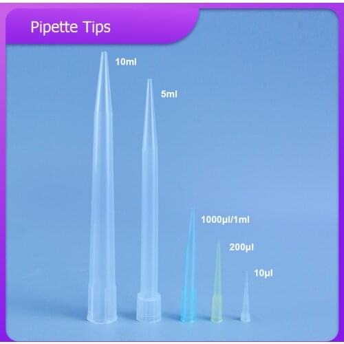 DXY Lab 10ul 200ul 1000ul 5ml 10ml PP Plastic Pipette Tips For Chemistry Test Pipettor Tips/ Disposable Pipette Tips PP material