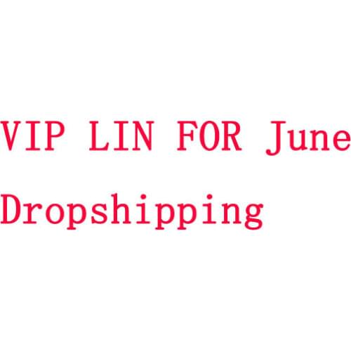 VIP Link for US Customer June Dropshipping Supplier ONLY Number 2