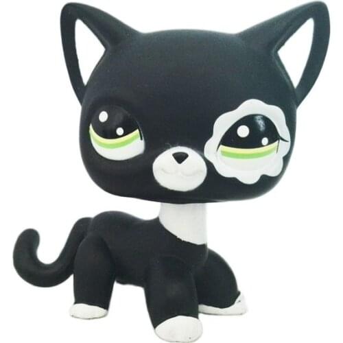Rare pet shop cute toys standing #2249 Black Short Hair cat white sparkle flower eyes nice kids gift original free shipping