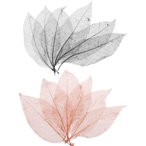 100pcs Magnolia Skeleton Leaf Dry Leaves Scrapbooking Embellishment Decoration DIY Card Supplies Black Coffee