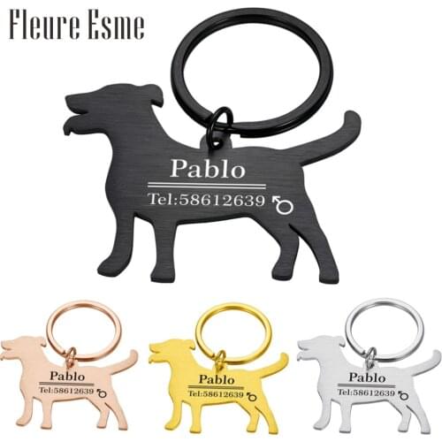 Personalized Pet ID Tag Keychain for Cat Dog Collar Accessories Custom Engraved Necklace Keychain Charm for Pets New Puppy