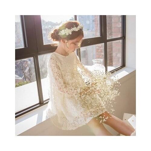 Explosion style Korean childrens clothing new spring and autumn childrens princess lace girl baby dress