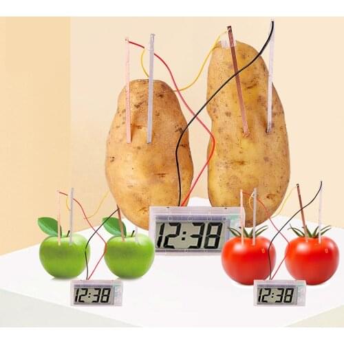 1pc Kids Montessori Fruit Potato Dry Battery Educational Sciences Toys for Children Technology Experiment School Teaching Stuffs
