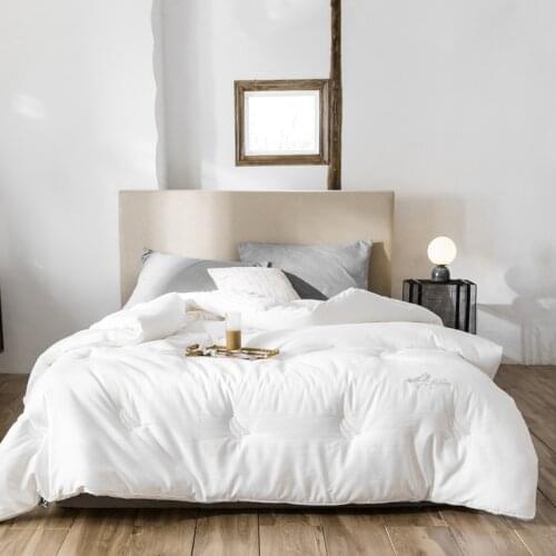 Large Cotton Fleece Winter Quilt Core Soybean Fiber Pure White Quilt All Seasons Bed Cover Home Soft Blanket Warm Cotton Quilt