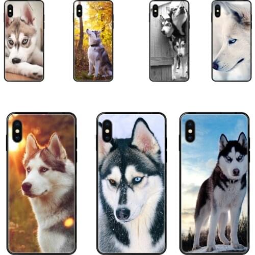 Black Soft TPU Cell Phone Case Sexy Siberian Husky Lovely Dog Pattern Men For Xiaomi Redmi Note 4 5 5A 6 7 8 8T 9 9S Pro Max