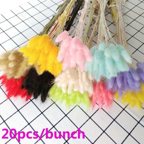 Style Artificial Uraria Picta Shooting Props Bunny Tails Rabbit Tail Grass Lagurus Ovatus Dried Flowers Bouquets