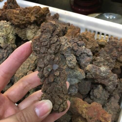 COPROLITE Fossilized Dinosaur Poop Specimen Fossil Madagascar 70-90g