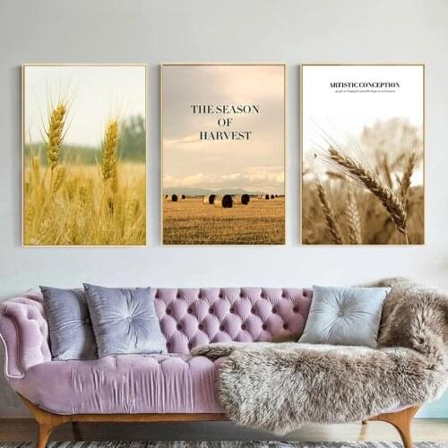 Wheat Ear Field Wheat Stalk Roll Landscape Nordic Posters And Print Wall Art Canvas Painting Wall Pictures For Living Room Decor