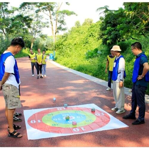 Large Outdoor Games Sport Toys Team Building Team Game Throwing Sandbags Target Toy Teamwork Points Race Giant Floor Mat