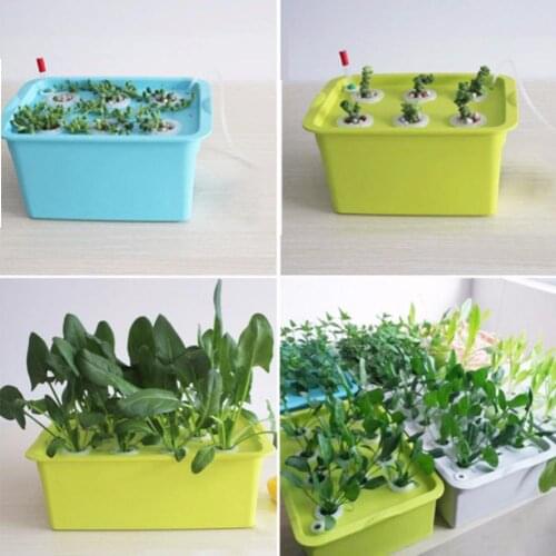 6- Holes US Plug 220-240V Plant Site Hydroponic System Indoor Garden Cabinet Box Grow Kit Bubble Garden Pots Planter Nursery Pot