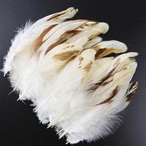 Real Chicken Rooster Feathers for Craft 100pcs/pack Juju hat Carnival Decoration Diy Plumes 8-13CM Long Wholesale