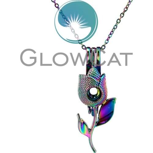 CC253 Colorful Rose Flower Beads Cage Pendant Aromatherapy Essential Oil Diffuser Pearl Cage Locket Necklace