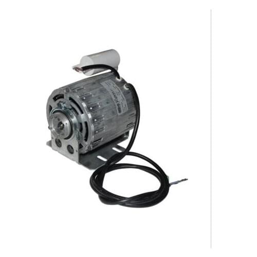 Motor fur Gaggia Spagna Pumpe