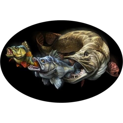 Dawasaru Interesting Animal Fish Car Sticker Waterproof Decal Laptop Truck Motorcycle Auto Accessories Decoration PVC,18cm*12cm