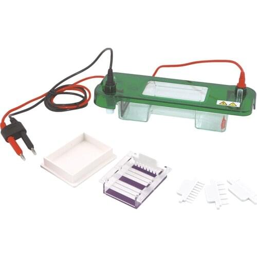 DW-SPAT Horizontal agarose gel Electrophoresis system analyzer