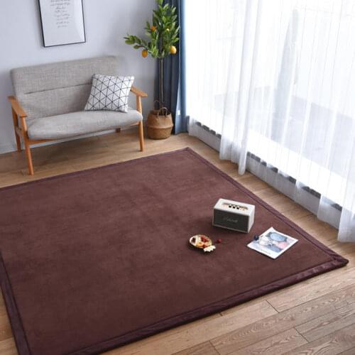 Living Room Coral fluffy Floor Door Mats Outdoor Rugs For Kitchen Rug Mat Europe style Home Modern Carpet Mat Tapete Doormat