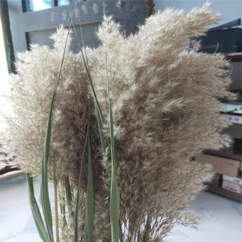 PAMPAS GRASS THINKER Artificial Wedding Bouquets