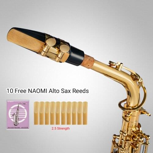 Professional NSA-802 Eb Alto Saxophone Music Instrument Accessory