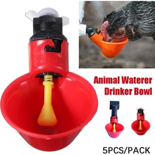 5Pcs/Pack Animal Waterer Drinker Bowl Chicken Birds Pigeon Farm Feeding Tool