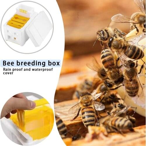 Bee Hive Holder Beekeeping King Box Pollination Box Foam Frames Beekeeping Tool Kit Harvest Bee Hive Home Hive Case Beekeeper