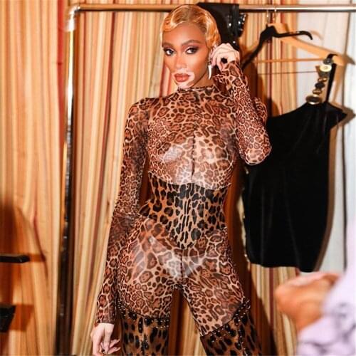 New Sexy Ladies Leopard Printing Exotic Jumpsuit Round Neck Long Sleeves Womens Streetwear Sheath Beltless Siamese Trousers