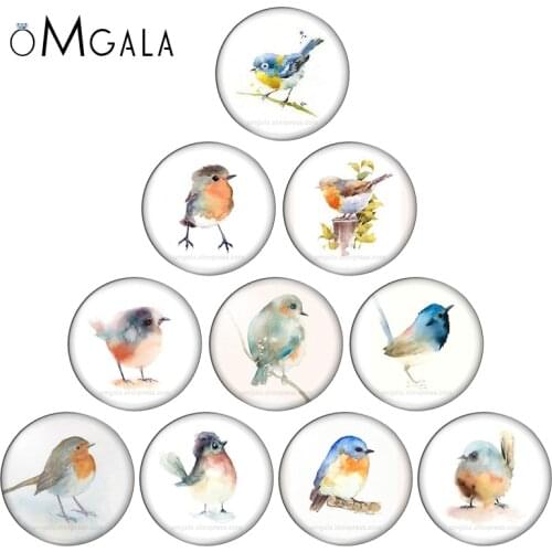 New beauty artistic Birds mixed 10pcs 8mm/10mm/12mm/18mm/20mm/25mm Round photo glass cabochon demo flat back Making findings