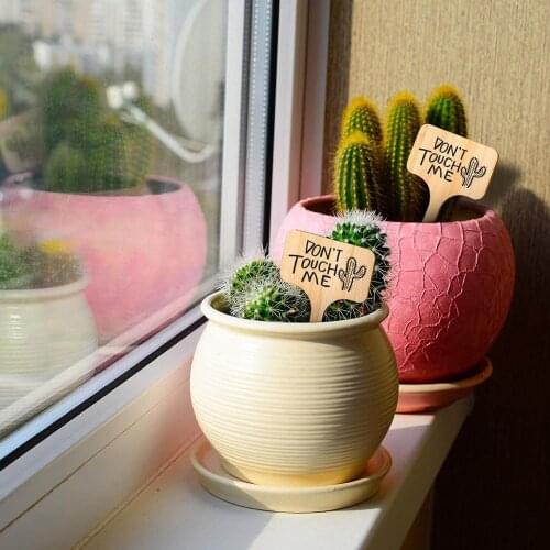 T-Type Bamboo Plant Labels Eco-Friendly Wooden Plant Sign Tags Garden Markers for Seed Potted Herbs Flowers Tools