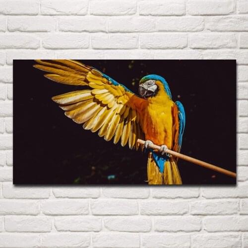 Beautiful macaw colorful parrot wings animal bird artwork fabric posters on wall picture home art living room decoration KG701
