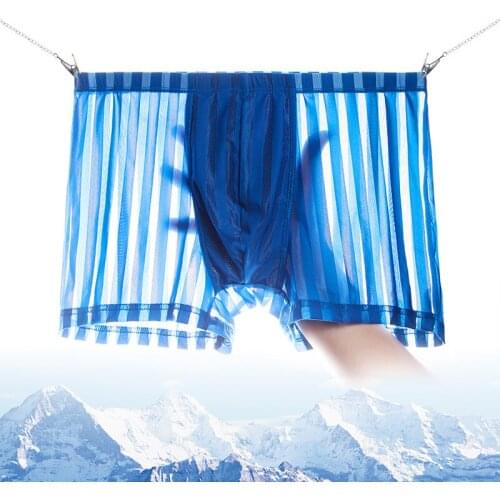 AOELEMENT Thin Section Sexy Transparent Boxer Shorts Ice Silk Breathable Mens Boxer Shorts Mid-waist Seamless Underwear