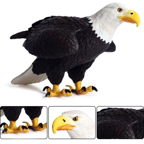 Tuba Whitehead Eagle Animal Model Action Figure Sea Animal Action Figures Collection PVC Children Cognitive Toys