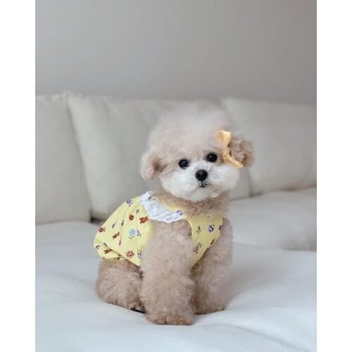 New Cute Bear Pattern Skirt Dog Halter Skirt Lace Short Pet Clothes Small Dog Clothes Summer Skirt For Puppy Chihuahua Schnauzer