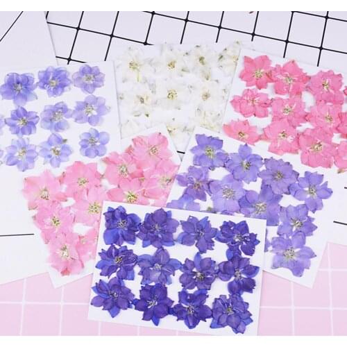 12Pcs Pressed Dried Flower Plant Epoxy Resin Card Phone Bookmark DIY Accessories