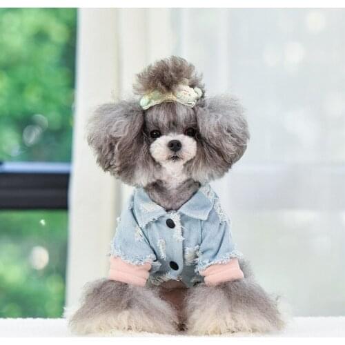 Dog Clothes Four-legged Clothing Thick Teddy Bichon Pomeranian Pet Small Dog Puppies Fashion Denim Autumn and Winter Clothes