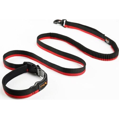 Nylon Dog Leash Running Traction Rope Pet Walking Belt Multi Functional Double Head Running Safety Belt For Small Medium Dogs