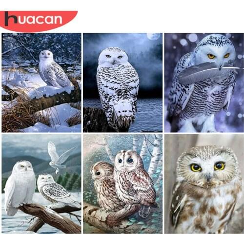 HUACAN DIY Painting By Numbers Owl Animal Acrylic On Canvas Wall Art Picture By Numbers Tree Childrens Room Decor
