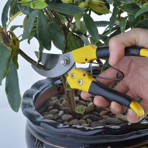 High Carbon Steel 8"/200MM Fruit Tree Pruning Shears Garden Tools Bonsai Pruners Gardening Secateurs Grafting Tool