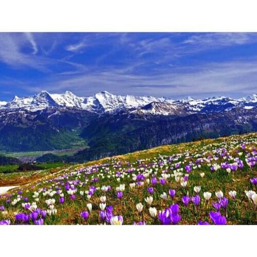 Flower Landscape DIY Cross Stitch Embroidery 11CT Kits Craft Set Printed Canvas Cotton Thread Home Decoration For Living Room