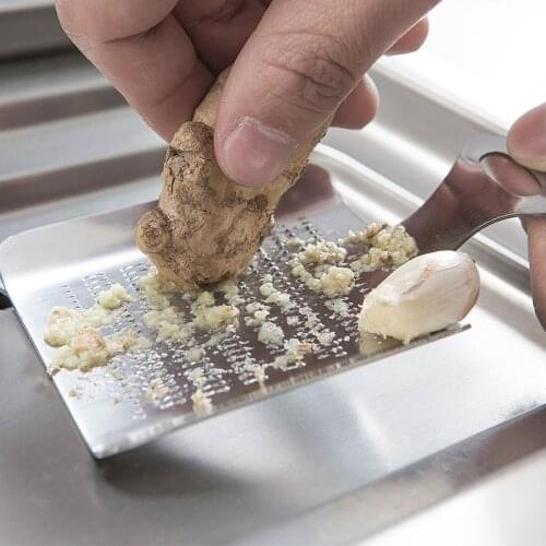 Stainless Steel Ginger Grater Garlic Press Crusher Kitchen Gadgets Cooking Tools