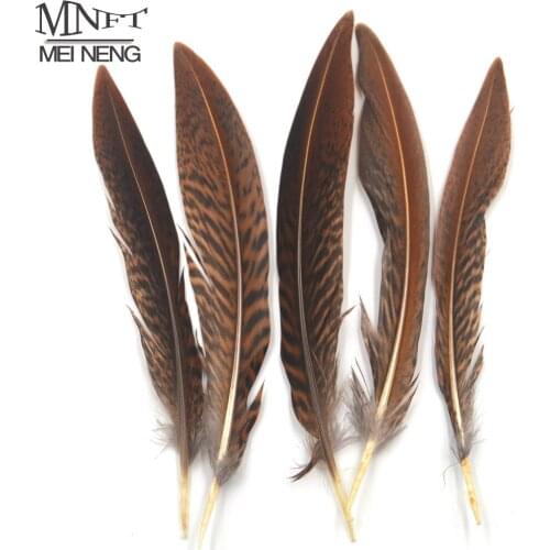 MNFT 5Pcs Natural Brown Black Color Plume Feather Fly Tying Wing Tail Material 10 ~ 15cm Length for Artificial Insect Bait