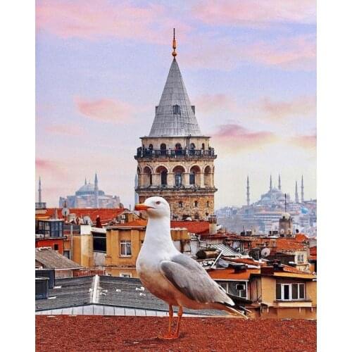 Roof Dove Painting With By Number Animal DIY Kit On Canvas For Drawing Coloring Handmade With Frame Picture By Number Home Decor