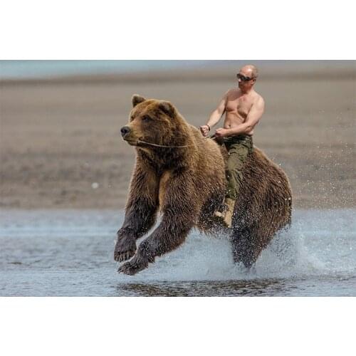 5d diy Diamond Painting"President Putin riding a bear"Full,square Embroidery,handmade Drill Mosaic,art,Crafts Y2355