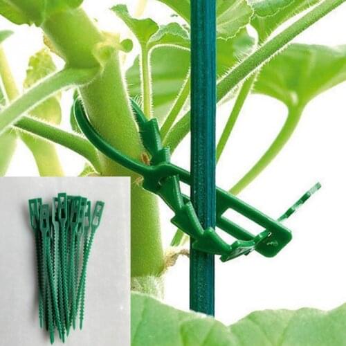 30/50/100Pcs Reusable Orchard and garden Cable Ties Tools Plant Support Shrubs Fastener Tree Locking Nylon Adjustable Plastic