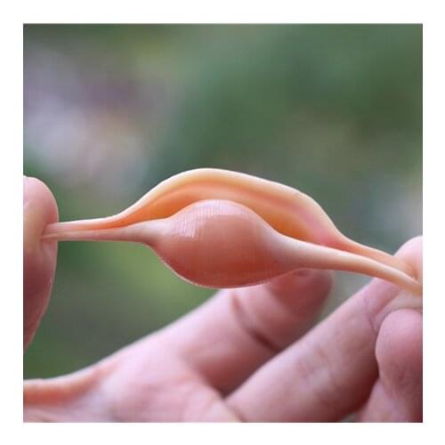 Natural Shell Conch Sea Rabbit Conch Home Decoration Childrens Toy Photography Props