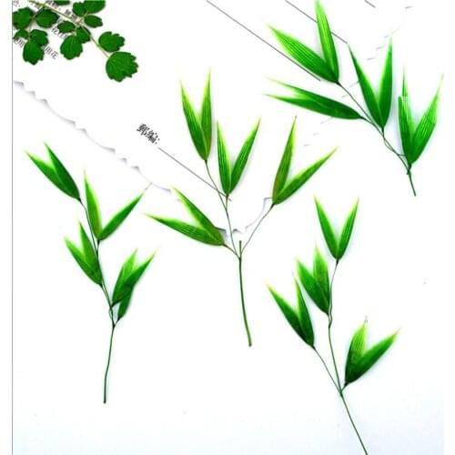 120pcs Pressed Dried Bamboo Leaf Flower Plants Herbarium For Jewelry iPhone Phone Case Bookmark Frame DIY Making Accessories